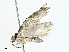  ( - BIOUG97795-B03)  @11 [ ] CreativeCommons - Attribution (2023) CBG Photography Group Centre for Biodiversity Genomics