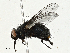  ( - BIOUG97796-C01)  @11 [ ] CreativeCommons - Attribution (2023) CBG Photography Group Centre for Biodiversity Genomics