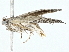  ( - BIOUG98647-H01)  @11 [ ] CreativeCommons - Attribution (2023) CBG Photography Group Centre for Biodiversity Genomics