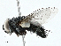  ( - BIOUG98648-C01)  @11 [ ] CreativeCommons - Attribution (2023) CBG Photography Group Centre for Biodiversity Genomics