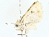  ( - BIOUG98648-H05)  @11 [ ] CreativeCommons - Attribution (2023) CBG Photography Group Centre for Biodiversity Genomics