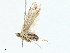  ( - BIOUG98649-A01)  @11 [ ] CreativeCommons - Attribution (2023) CBG Photography Group Centre for Biodiversity Genomics