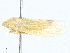  ( - BIOUG98649-E03)  @11 [ ] CreativeCommons - Attribution (2023) CBG Photography Group Centre for Biodiversity Genomics