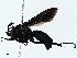  ( - BIOUG98649-E12)  @11 [ ] CreativeCommons - Attribution (2023) CBG Photography Group Centre for Biodiversity Genomics