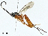  ( - BIOUG98649-G03)  @11 [ ] CreativeCommons - Attribution (2023) CBG Photography Group Centre for Biodiversity Genomics