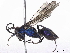  ( - BIOUG98649-G08)  @11 [ ] CreativeCommons - Attribution Non-Commercial Share-Alike (2023) CBG Photography Group Centre for Biodiversity Genomics