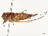  (Taphura - CBG-B07603-E01)  @11 [ ] CreativeCommons - Attribution Share Alike (2025) Erin M Rivera Centre for Biodiversity Genomics