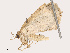  ( - CBG-B14647-A12)  @11 [ ] CreativeCommons - Attribution Share - Alike (2025) CBG Photography Group Centre for Biodiversity Genomics