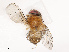  ( - CBG-B14647-B01)  @11 [ ] CreativeCommons - Attribution Share - Alike (2025) CBG Photography Group Centre for Biodiversity Genomics