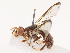  ( - CBG-B14647-C09)  @11 [ ] CreativeCommons - Attribution Share - Alike (2025) CBG Photography Group Centre for Biodiversity Genomics