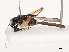  ( - CBG-B14647-G01)  @11 [ ] CreativeCommons - Attribution Share - Alike (2025) CBG Photography Group Centre for Biodiversity Genomics