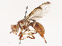  ( - CBG-B14647-G04)  @11 [ ] CreativeCommons - Attribution Share - Alike (2025) CBG Photography Group Centre for Biodiversity Genomics