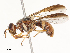  ( - CBG-B22929-C09)  @11 [ ] CreativeCommons - Attribution Share - Alike (2025) CBG Photography Group Centre for Biodiversity Genomics