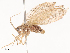  ( - CBG-B22929-F01)  @11 [ ] CreativeCommons - Attribution Share - Alike (2025) CBG Photography Group Centre for Biodiversity Genomics