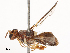  ( - CBG-B22932-G03)  @11 [ ] CreativeCommons - Attribution Share - Alike (2025) CBG Photography Group Centre for Biodiversity Genomics