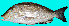  ( - CIFEFGB LN-01)  @14 [ ] CreativeCommons - Attribution Non-Commercial Share-Alike (2014) Sadurudeen, N. CIFE