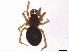  ( - 200-PT-FB3-T-22)  @11 [ ] CreativeCommons - Attribution Share-Alike (2024) CBG Photography Group Centre for Biodiversity Genomics