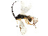 ( - 105-SW-VF4-E-22)  @11 [ ] CreativeCommons - Attribution Share - Alike (2023) CBG Photography Group Centre for Biodiversity Genomics