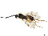  ( - 173-SW-TS2-T-22)  @11 [ ] CreativeCommons - Attribution Share - Alike (2023) CBG Photography Group Centre for Biodiversity Genomics