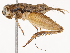  ( - CBG-B14222-G01)  @11 [ ] CreativeCommons - Attribution Share - Alike (2025) CBG Photography Group Centre for Biodiversity Genomics