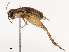  ( - CBG-B14222-G02)  @11 [ ] CreativeCommons - Attribution Share - Alike (2025) CBG Photography Group Centre for Biodiversity Genomics