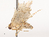  ( - CBG-B14775-C09)  @11 [ ] CreativeCommons - Attribution Share - Alike (2025) CBG Photography Group Centre for Biodiversity Genomics