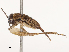  ( - CBG-B14775-F08)  @11 [ ] CreativeCommons - Attribution Share - Alike (2025) CBG Photography Group Centre for Biodiversity Genomics