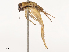  ( - CBG-B14775-F10)  @11 [ ] CreativeCommons - Attribution Share - Alike (2025) CBG Photography Group Centre for Biodiversity Genomics