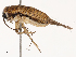 ( - CBG-B22883-B08)  @11 [ ] CreativeCommons - Attribution Share - Alike (2025) CBG Photography Group Centre for Biodiversity Genomics