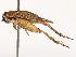  ( - CBG-B22883-B09)  @11 [ ] CreativeCommons - Attribution Share - Alike (2025) CBG Photography Group Centre for Biodiversity Genomics