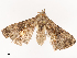 ( - CBG-B22883-C01)  @11 [ ] CreativeCommons - Attribution Share - Alike (2025) CBG Photography Group Centre for Biodiversity Genomics