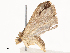  ( - CBG-B22932-D06)  @11 [ ] CreativeCommons - Attribution Share - Alike (2025) CBG Photography Group Centre for Biodiversity Genomics