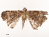  ( - CBG-B07470-E07)  @11 [ ] CreativeCommons - Attribution Share - Alike (2025) CBG Photography Group Centre for Biodiversity Genomics