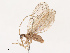  ( - CBG-B21619-A06)  @11 [ ] CreativeCommons - Attribution Share - Alike (2025) CBG Photography Group Centre for Biodiversity Genomics