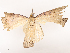  ( - CBG-B14787-D12)  @11 [ ] CreativeCommons - Attribution Share - Alike (2025) CBG Photography Group Centre for Biodiversity Genomics