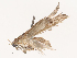  ( - CBG-B22919-E05)  @11 [ ] CreativeCommons - Attribution Share - Alike (2025) CBG Photography Group Centre for Biodiversity Genomics