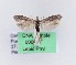  ( - 0066PF)  @13 [ ] CreativeCommons - Attribution Non-Commercial Share-Alike (2018) Per Falck Zoologisk Museum, Copenhagen