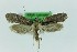  ( - 0308PF)  @11 [ ] CreativeCommons - Attribution Non-Commercial Share-Alike (2018) Per Falck Zoological Museum Copenhagen