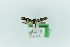  (Scythris arachnodes - 0387PF)  @11 [ ] CreativeCommons - Attribution Non-Commercial Share-Alike (2018) Per Falck Zoological Museum Copenhagen