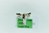  (Scythris pseudoarachnodes - 0390PF)  @11 [ ] CreativeCommons - Attribution Non-Commercial Share-Alike (2018) Per Falck Zoological Museum Copenhagen