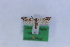  ( - 1661PF)  @11 [ ] by-nc-sa (2018) Per Falck Zoologisk Museum Copenhagen