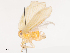  ( - CBG-B21618-A01)  @11 [ ] CreativeCommons - Attribution Share - Alike (2025) CBG Photography Group Centre for Biodiversity Genomics