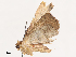  ( - CBG-B21618-A07)  @11 [ ] CreativeCommons - Attribution Share - Alike (2025) CBG Photography Group Centre for Biodiversity Genomics