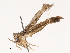  ( - CBG-B21619-B06)  @11 [ ] CreativeCommons - Attribution Share - Alike (2025) CBG Photography Group Centre for Biodiversity Genomics