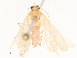  ( - CBG-B14222-D07)  @11 [ ] CreativeCommons - Attribution Share - Alike (2025) CBG Photography Group Centre for Biodiversity Genomics