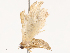  ( - CBG-B14222-D09)  @11 [ ] CreativeCommons - Attribution Share - Alike (2025) CBG Photography Group Centre for Biodiversity Genomics