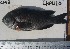  ( - CHPU-10)  @11 [ ] Unspecified (default): All Rights Reserved  Unspecified Unspecified