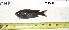  ( - CHPU-11)  @12 [ ] Unspecified (default): All Rights Reserved  Unspecified Unspecified