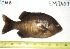  ( - EMJA-07)  @11 [ ] Unspecified (default): All Rights Reserved  Unspecified Unspecified