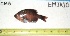  ( - EMJA-10)  @11 [ ] Unspecified (default): All Rights Reserved  Unspecified Unspecified